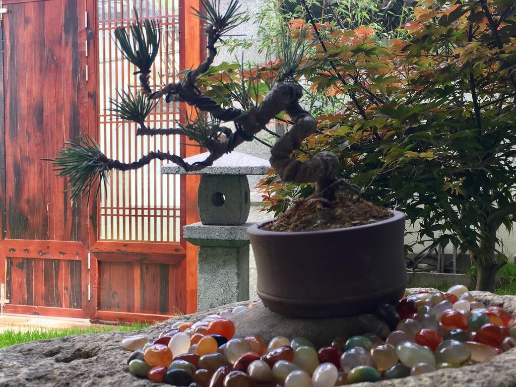Bo Nan Homestay Đại Lý Ngoại thất bức ảnh