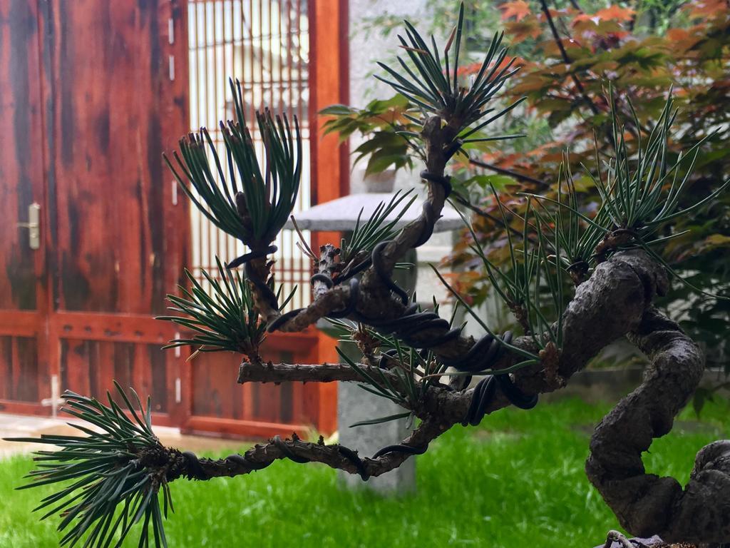 Bo Nan Homestay Đại Lý Ngoại thất bức ảnh